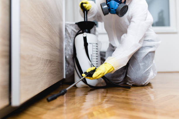 Best Best Pest Control Companies  in Johnstown, NY