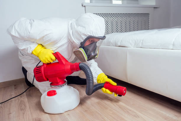 Best Flea Control Services  in Johnstown, NY
