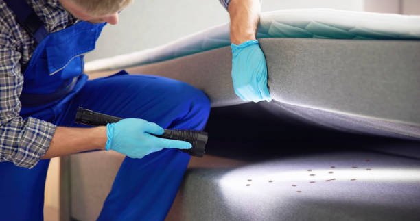 Best Ant Control Services  in Johnstown, NY