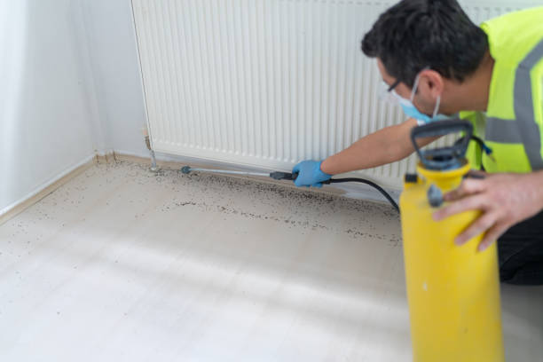 Best Best Pest Control Companies  in Johnstown, NY