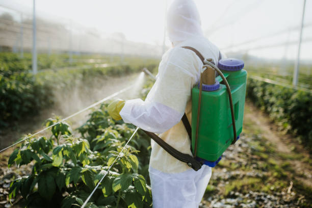 Best Insect Control  in Johnstown, NY